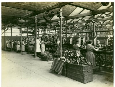 Winding Department, Long Meadow Mill, 1923 by English Photographer